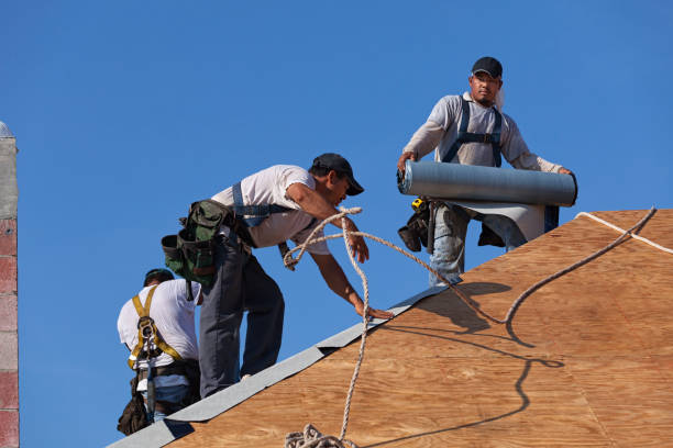 Best Roof Gutter Cleaning  in Crystal Lake, FL
