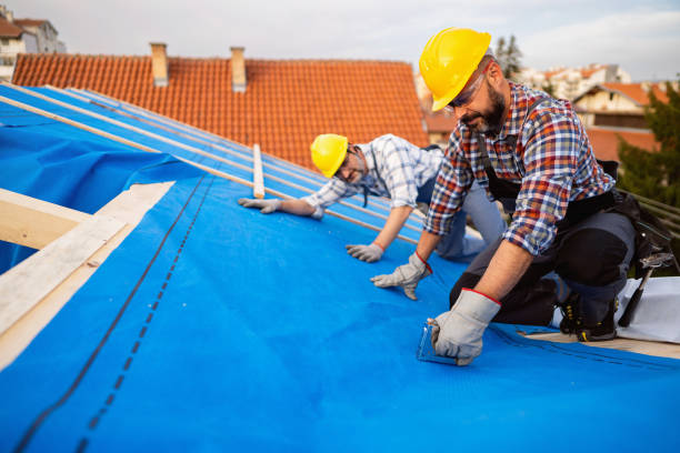 Roof Gutter Cleaning in Crystal Lake, FL