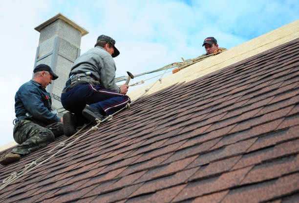 Quick and Trustworthy Emergency Roof Repair Services in Crystal Lake, FL