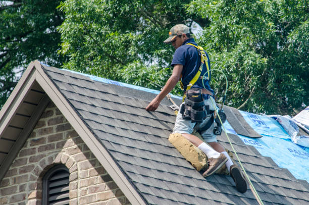 Best Best Roofing Contractors  in Crystal Lake, FL